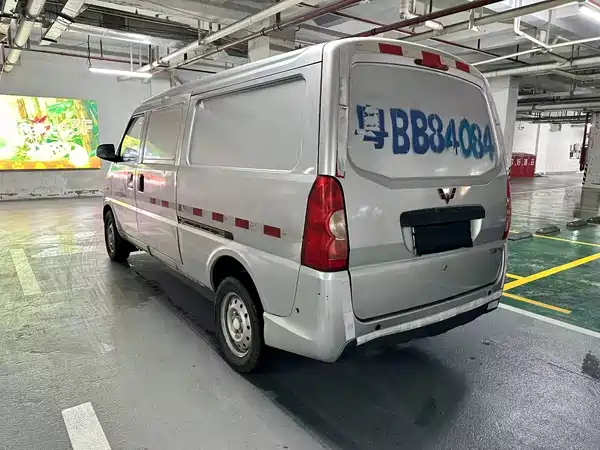 Wuling EV50 2021