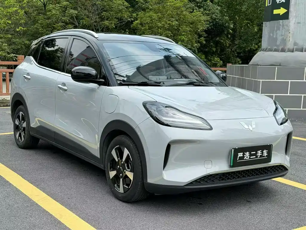 Wuling Bingo PLUS 2024