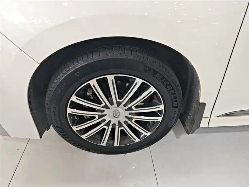 GAC Motor Trumpchi M8 2021 — фото 23