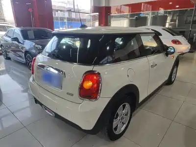 MINI MINI 2014