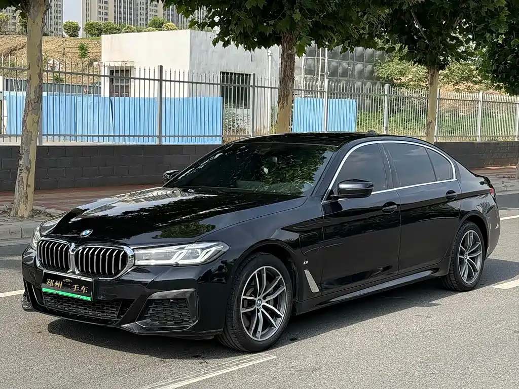 BMW 5 Series New Energy 2022