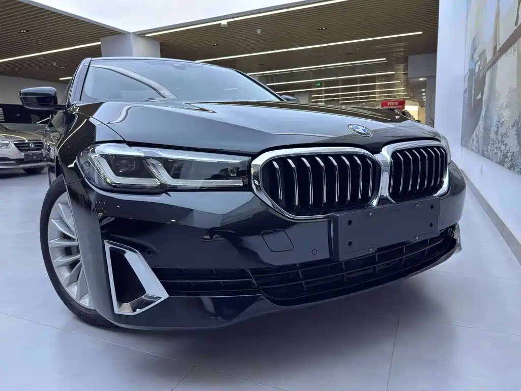 BMW 5 Series New Energy 2020