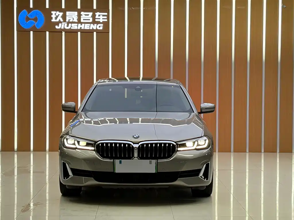 BMW 5 Series New Energy 2021