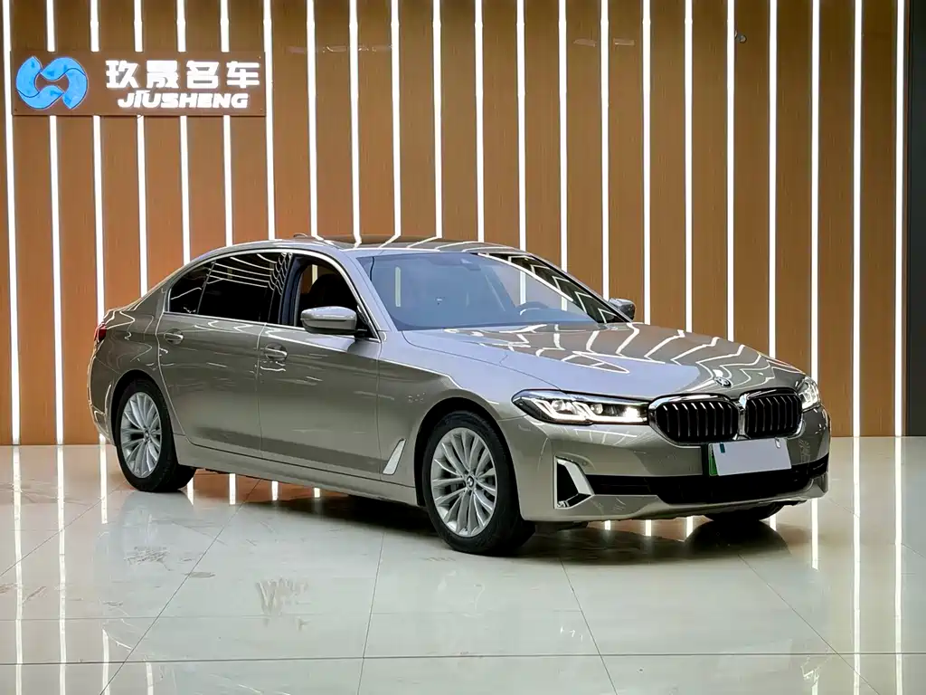 BMW 5 Series New Energy 2021