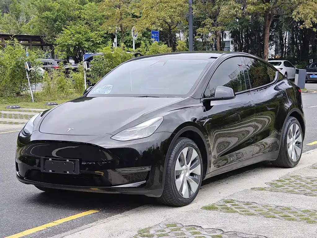 Tesla Model Y 2021 — фото 1
