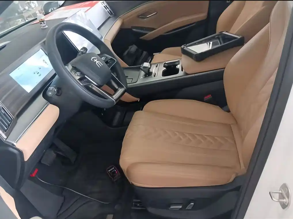 BYD L DM-i 2024 — фото 11