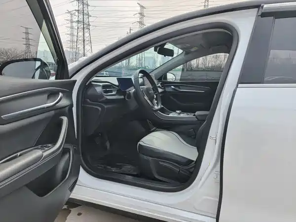BYD Destroyer 05 2024