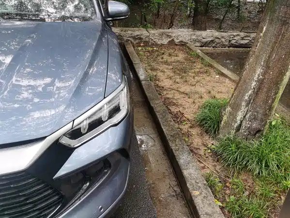 BYD Song Pro New Energy 2024