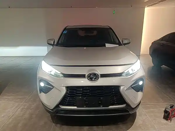 Toyota Wildlander 2021