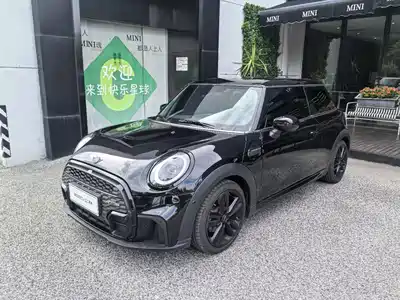 MINI MINI 2022