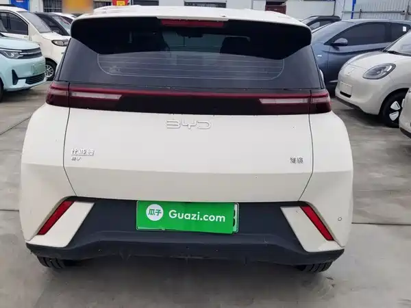 BYD Seagull 2024