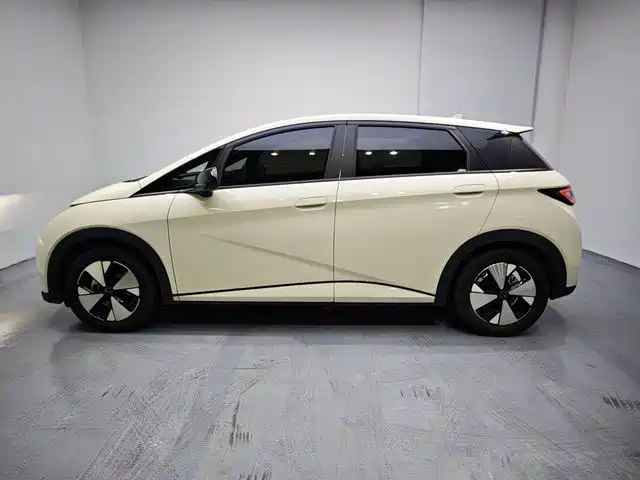 BYD Dolphin 2024