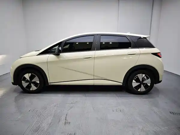 BYD Dolphin 2024