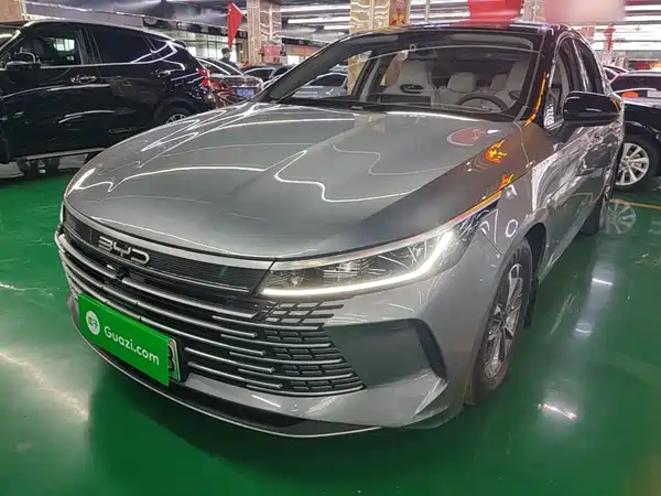BYD Destroyer 05 2024
