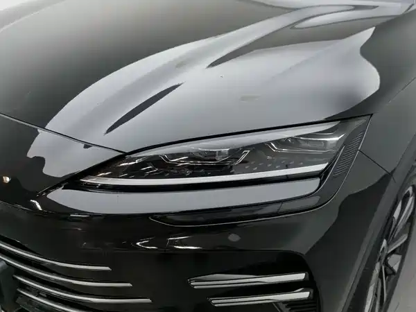 BYD Song PLUS New Energy 2024