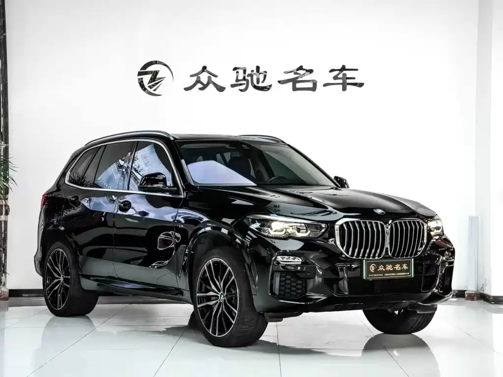 BMW X5 New Energy 2020