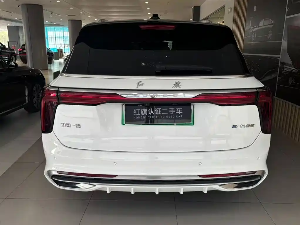 Hongqi E-HS9 2023 — фото 2