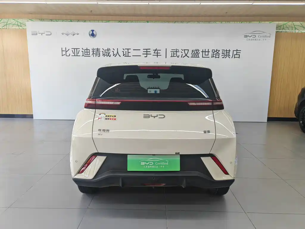 BYD Seagull 2024