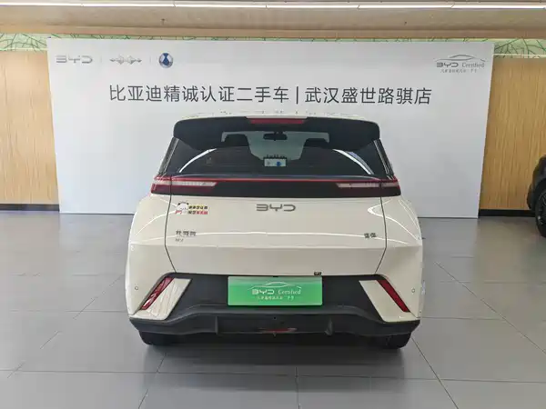 BYD Seagull 2024