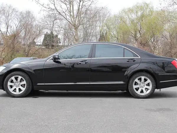 Mercedes-Benz S-Class 2010