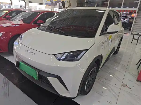 BYD Seagull 2024