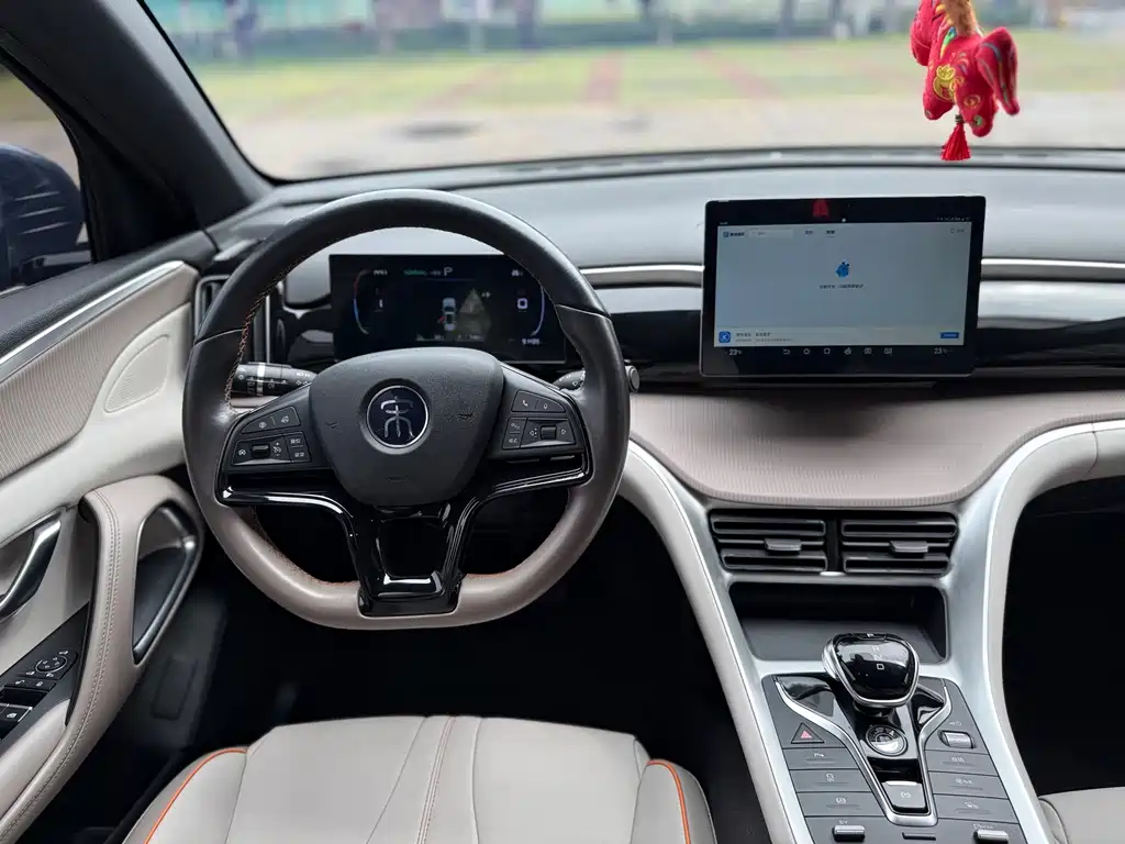 BYD Song Pro New Energy 2024 — фото 16