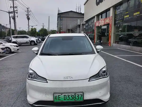 Neta V 2022