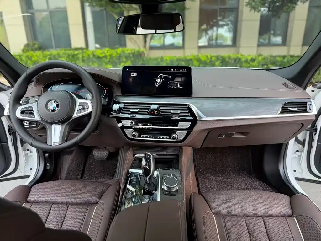 BMW 5 Series 2021