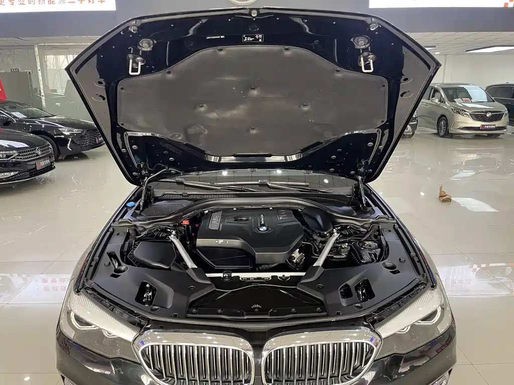 BMW 5 Series 2019 — фото 15