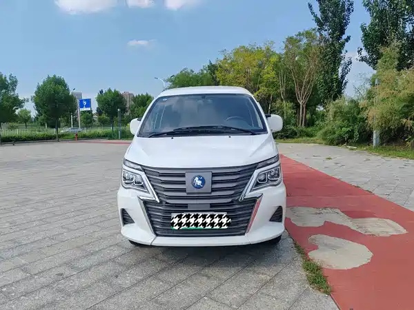 Dongfeng Lingzhi New Energy 2025