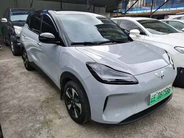 Wuling Bingo PLUS 2024