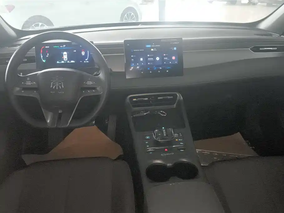 BYD Qin PLUS 2025 — фото 12