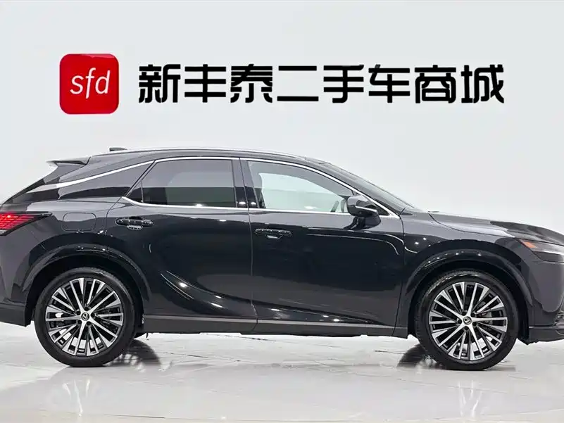 Lexus RX New Energy 2023 — фото 3