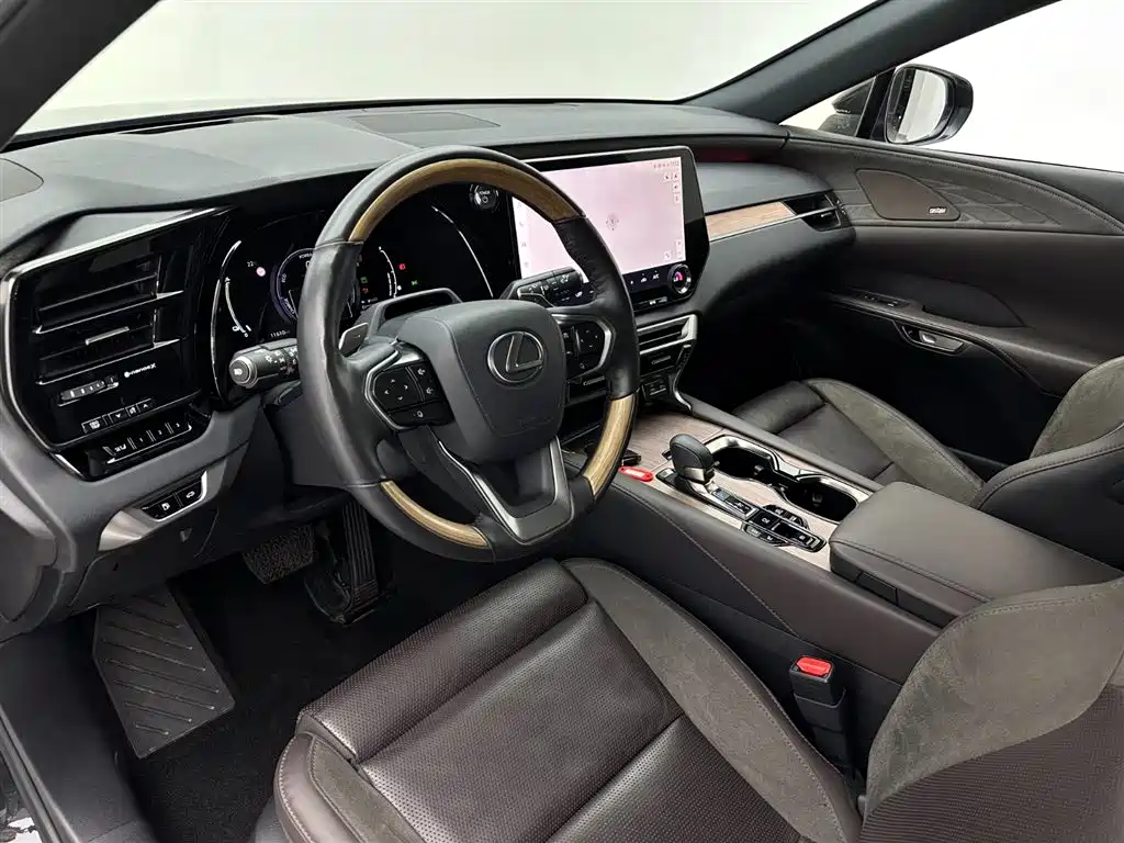 Lexus RX New Energy 2023 — фото 16
