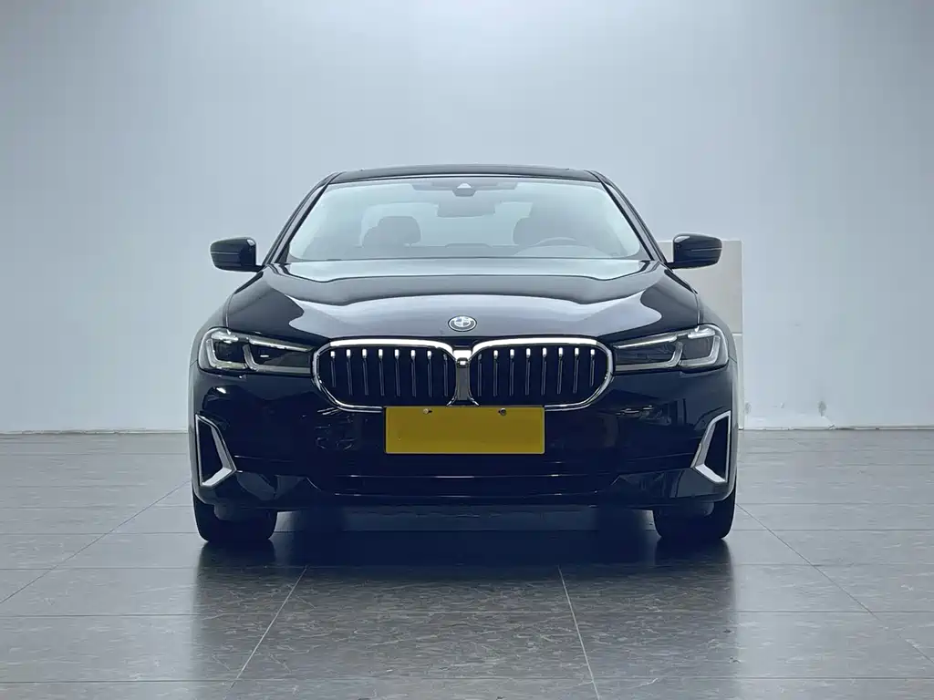 BMW 5 Series New Energy 2021