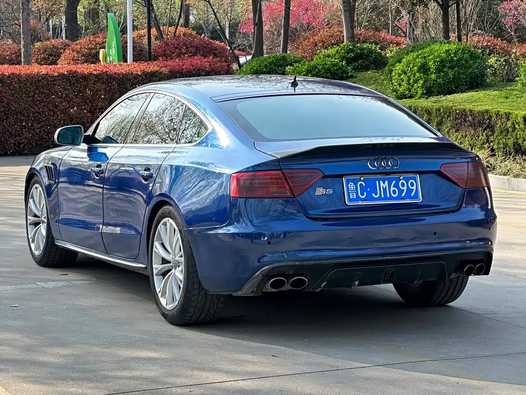 Audi S5 2016 — фото 5