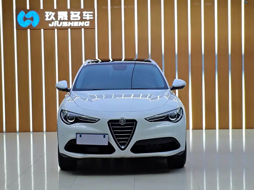Alfa Romeo Stelvio 2019 — фото 3