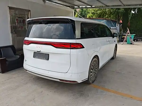 BYD Summer 2025