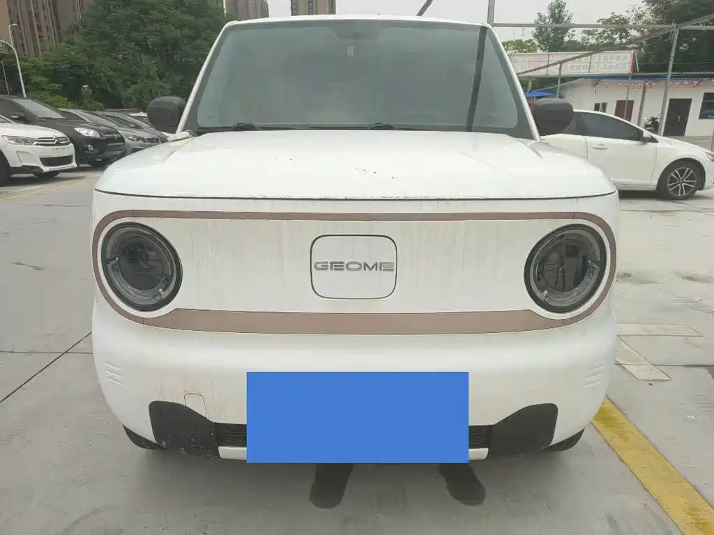 Galaxy Panda 2023