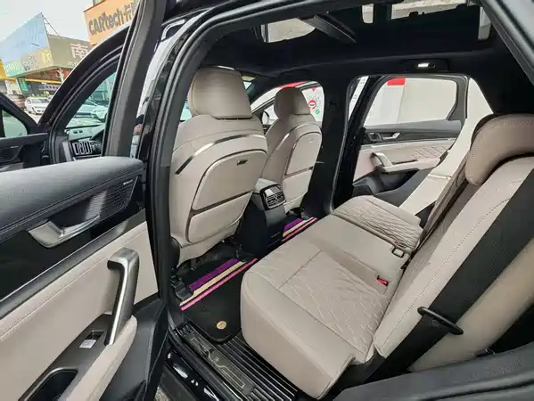 BYD Tang New Energy 2024