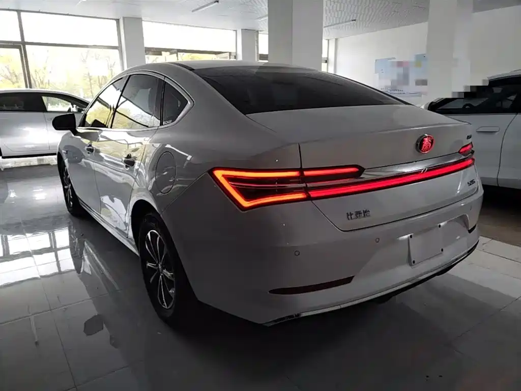 BYD Qin Pro NEV 2020 — фото 5