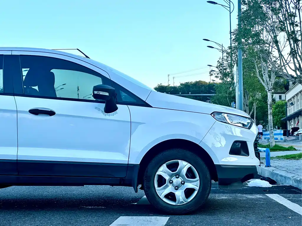 Ford EcoSport 2015 — фото 12