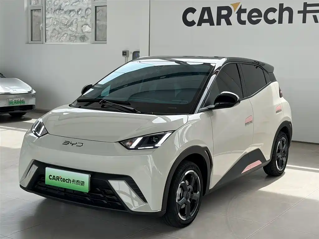 BYD Seagull 2024