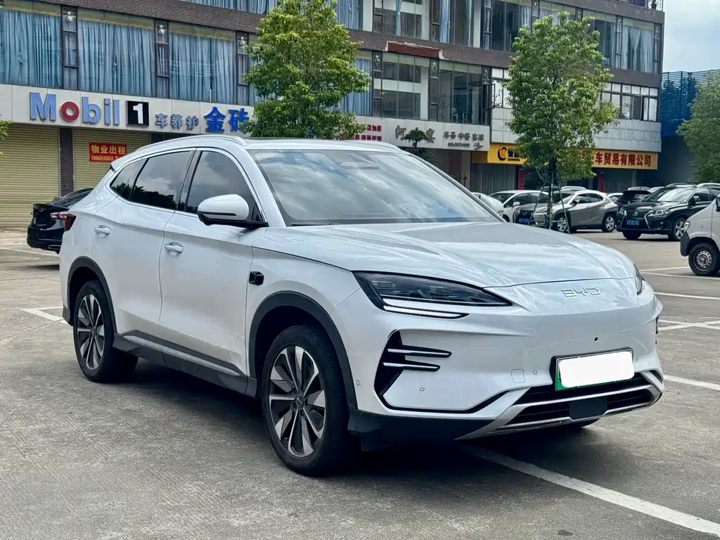 BYD PLUS New Energy 2025 — фото 3