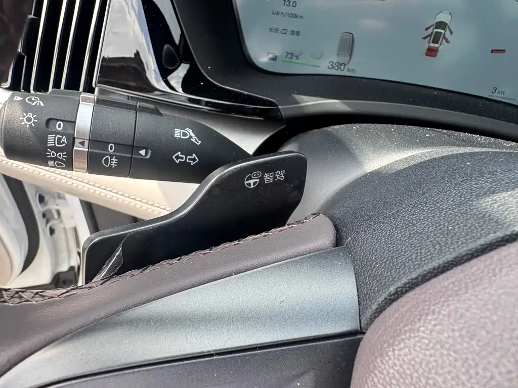 BYD PLUS New Energy 2025 — фото 17