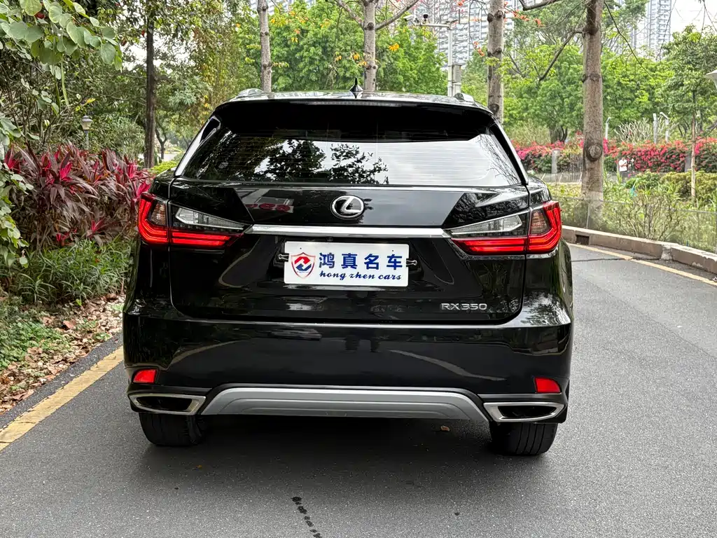 Lexus RX 2020 — фото 4