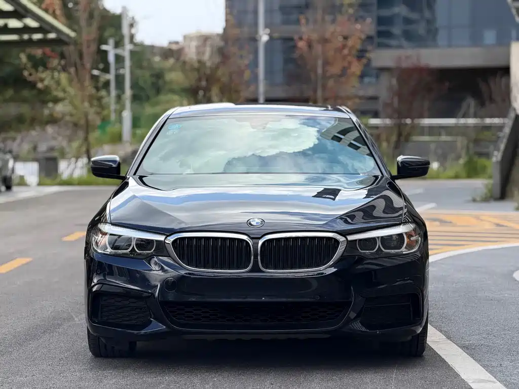 BMW 5 Series 2019 — фото 2