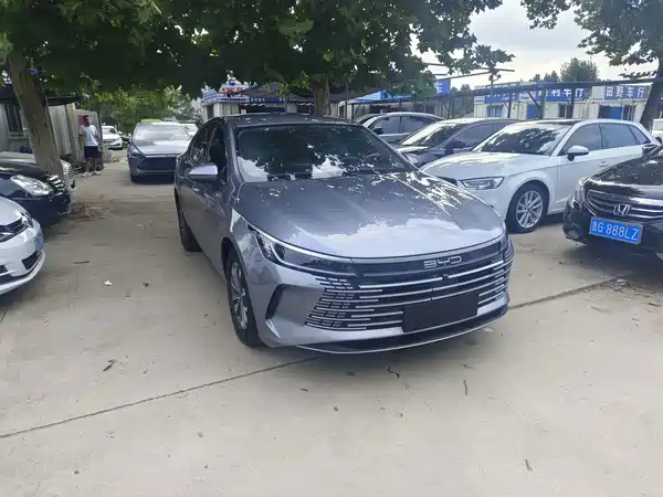 BYD Destroyer 05 2024
