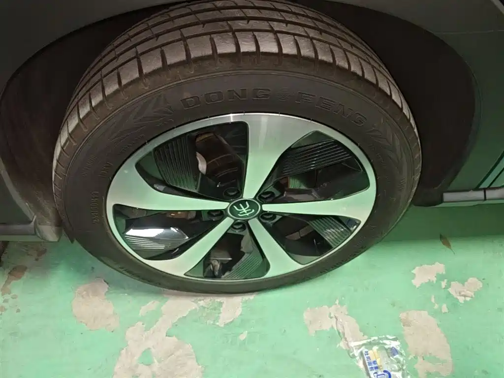 BYD PLUS New Energy 2022 — фото 23