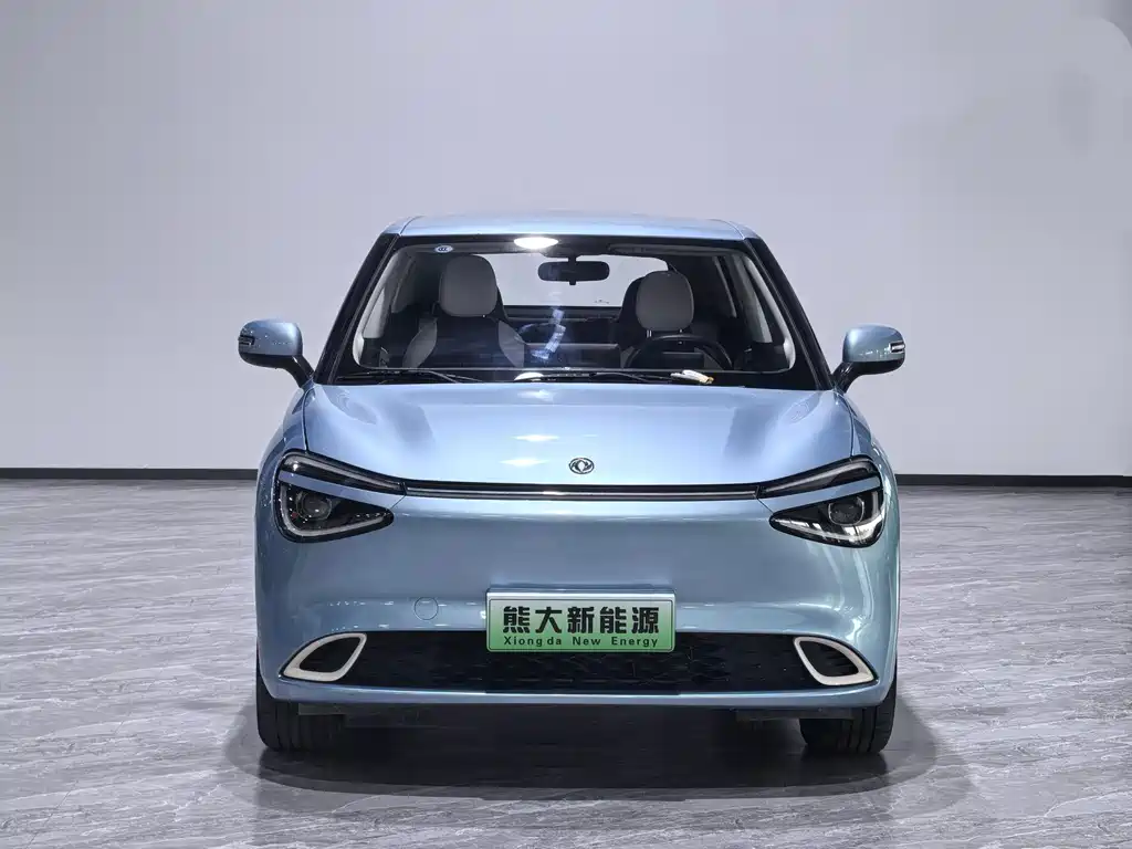 Dongfeng Nano 01 2024